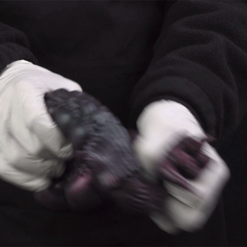 Deep Cave Worm Single-Channel Fantasy Sex Doll - Alien Creature Pocket Pussy for Otherworldly Pleasure