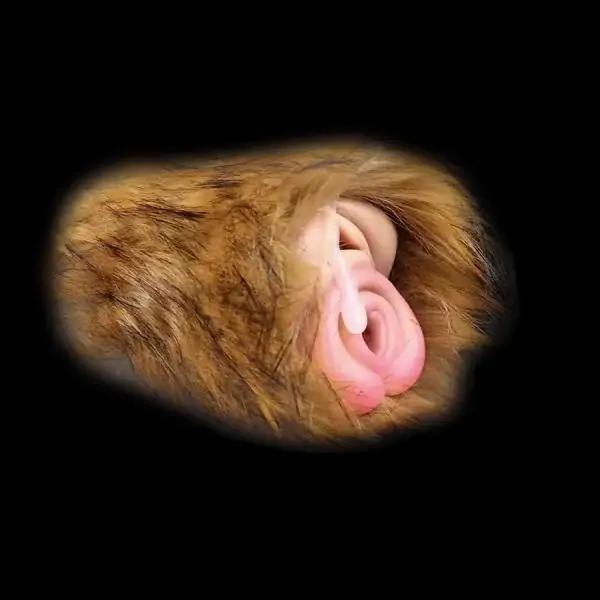 Savage Warmth - Tiger pussy toy for male