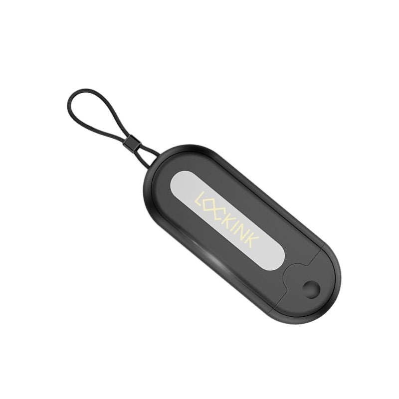 LOCKINK Pandora Smart Key Holder for Chastity Cage App Controlled