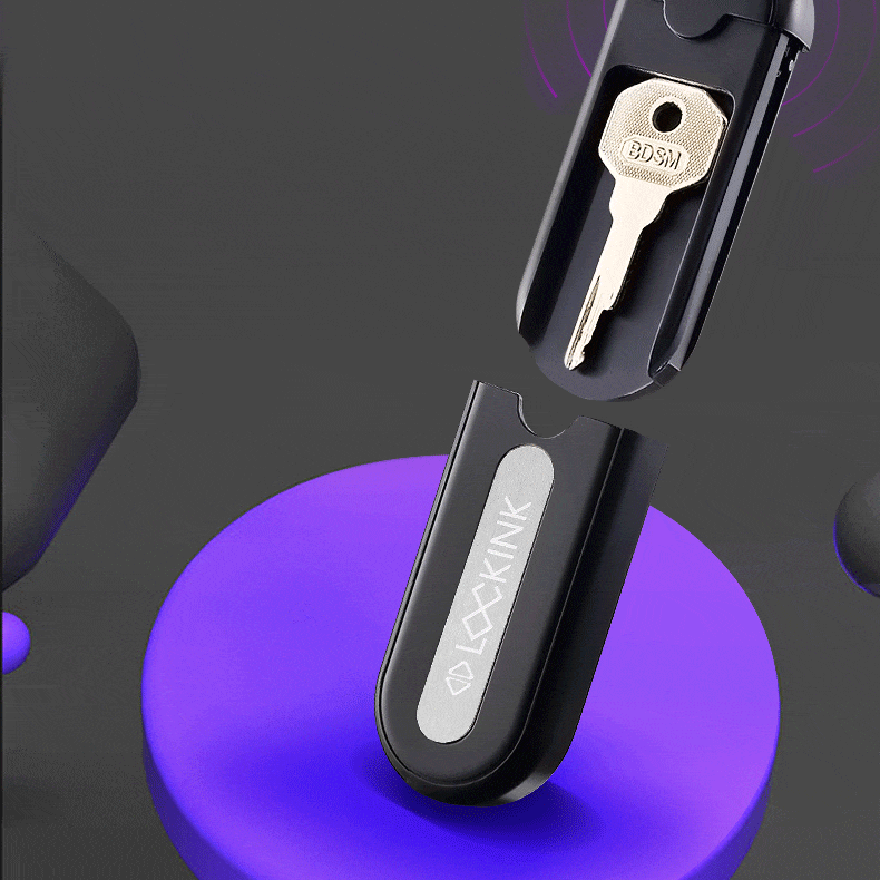 LOCKINK Pandora Smart Key Holder for Chastity Cage App Controlled