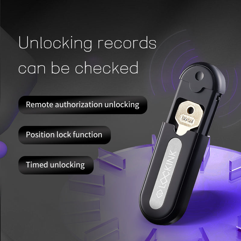 LOCKINK Pandora Smart Key Holder for Chastity Cage App Controlled