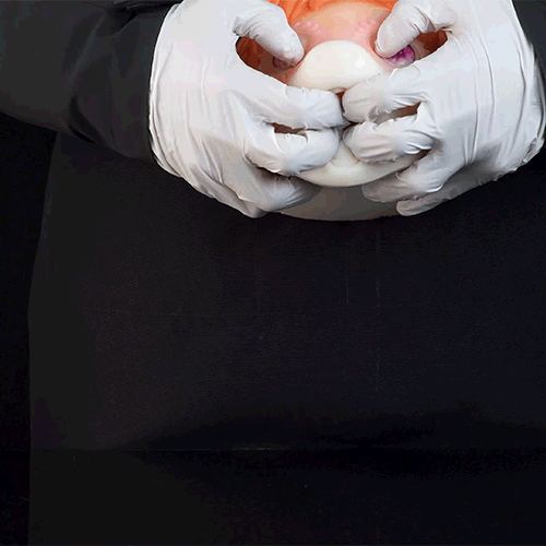 Fantasy Pony Silicone Sex Doll-Mini Male Sex Toy for Realistic Blowjobs & Penis Massage